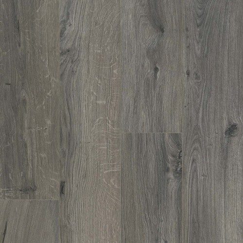 Gyant Grey