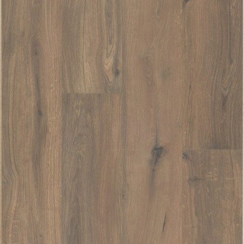 Gyant XL Dark Brown